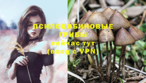 ALPHA-PVP Бугульма