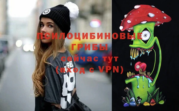 jwh Бородино