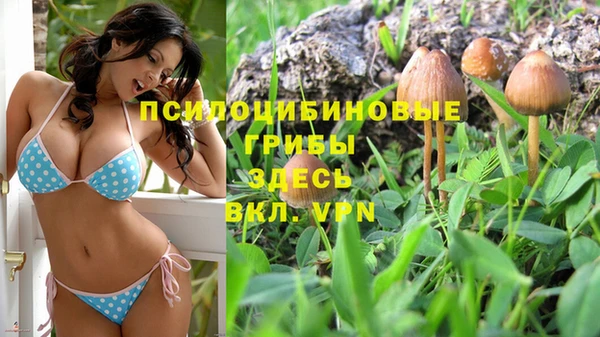 ALPHA-PVP Бугульма
