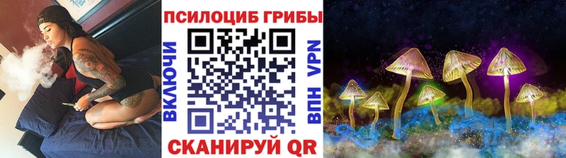 где найти наркотики  Вязьма  ссылка на мегу сайт  Псилоцибиновые грибы ЛСД 