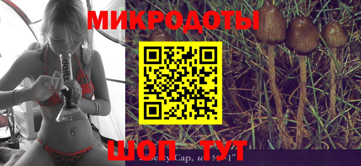 Галлюциногенные грибы MAGIC MUSHROOMS  Псилоцибиновые грибы мухоморы  Вход с VPN  Вязьма 