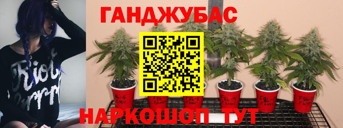 Каннабис OG Kush Вязьма